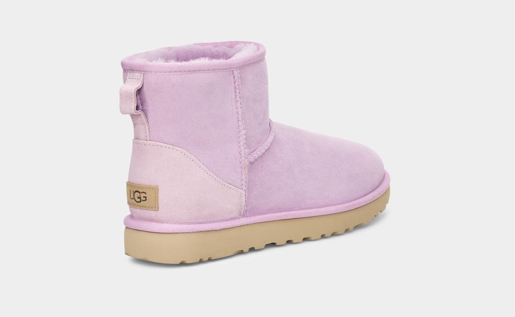 Classic mini ii sale ugg women's